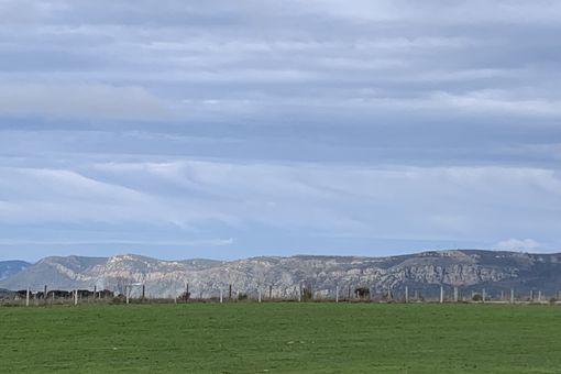 Hinojosa